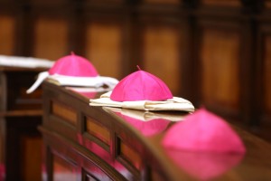 Synodale Kerk: Vijf vragen aan de Nederlandse bisschoppen